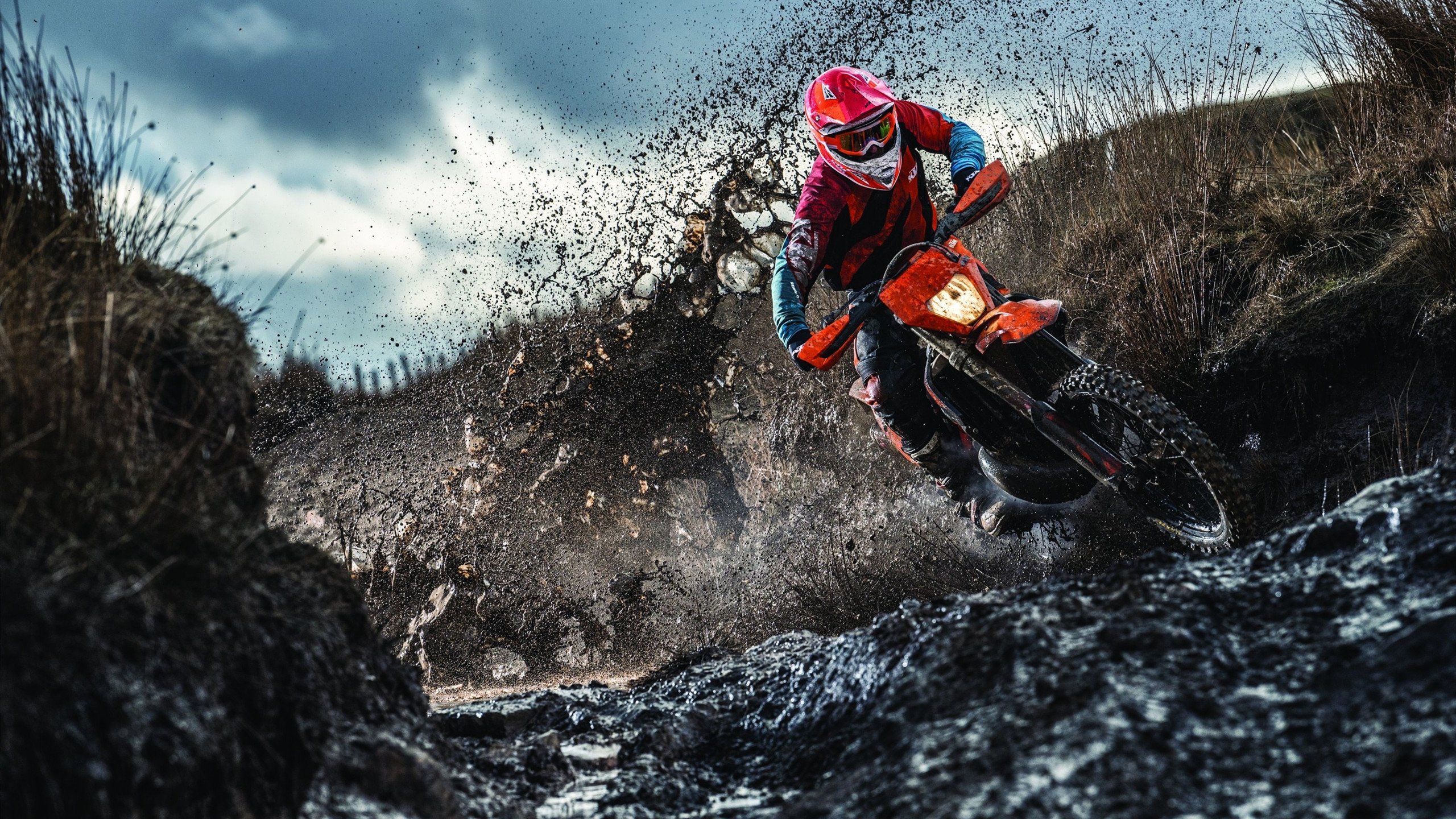 森林狼强势晋级勇士,哈利伯顿成为关键先生