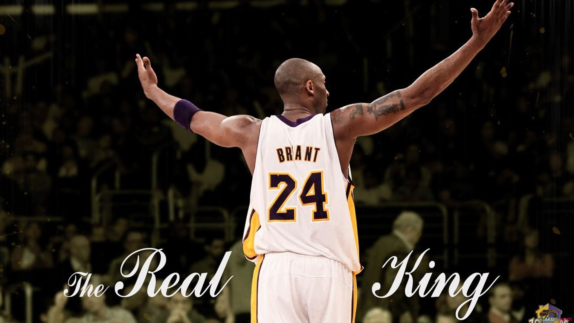 掘金横扫国王,福克斯如何从得分手蜕变为关键先生